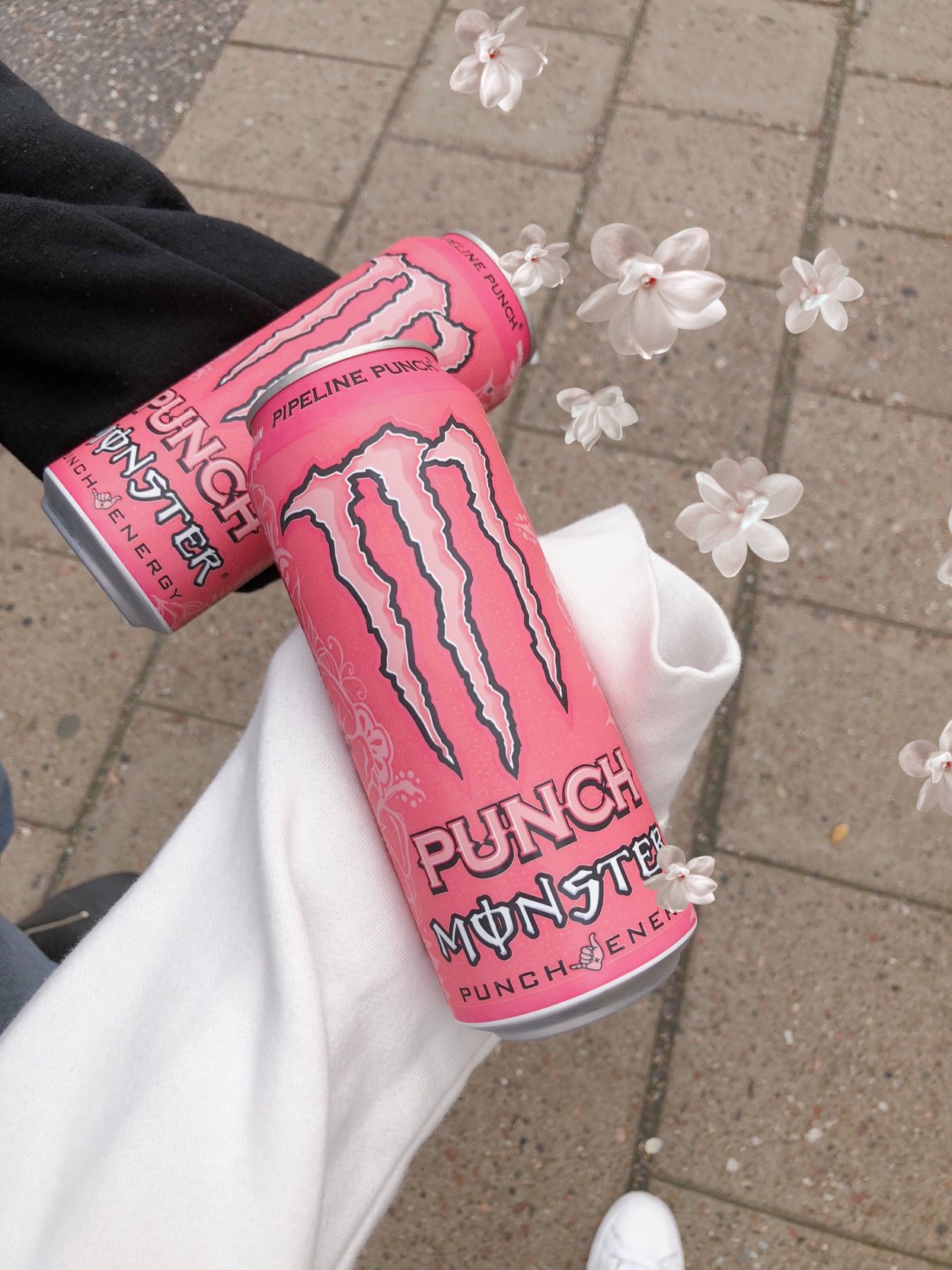 Ясенец Неопалимая Купина