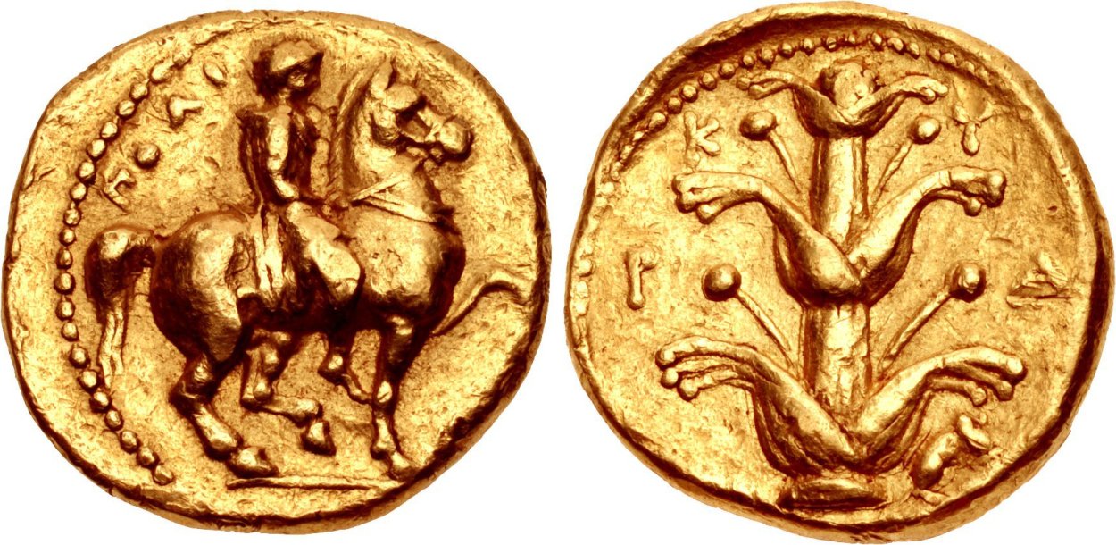 Сильфия пронзеннолистная