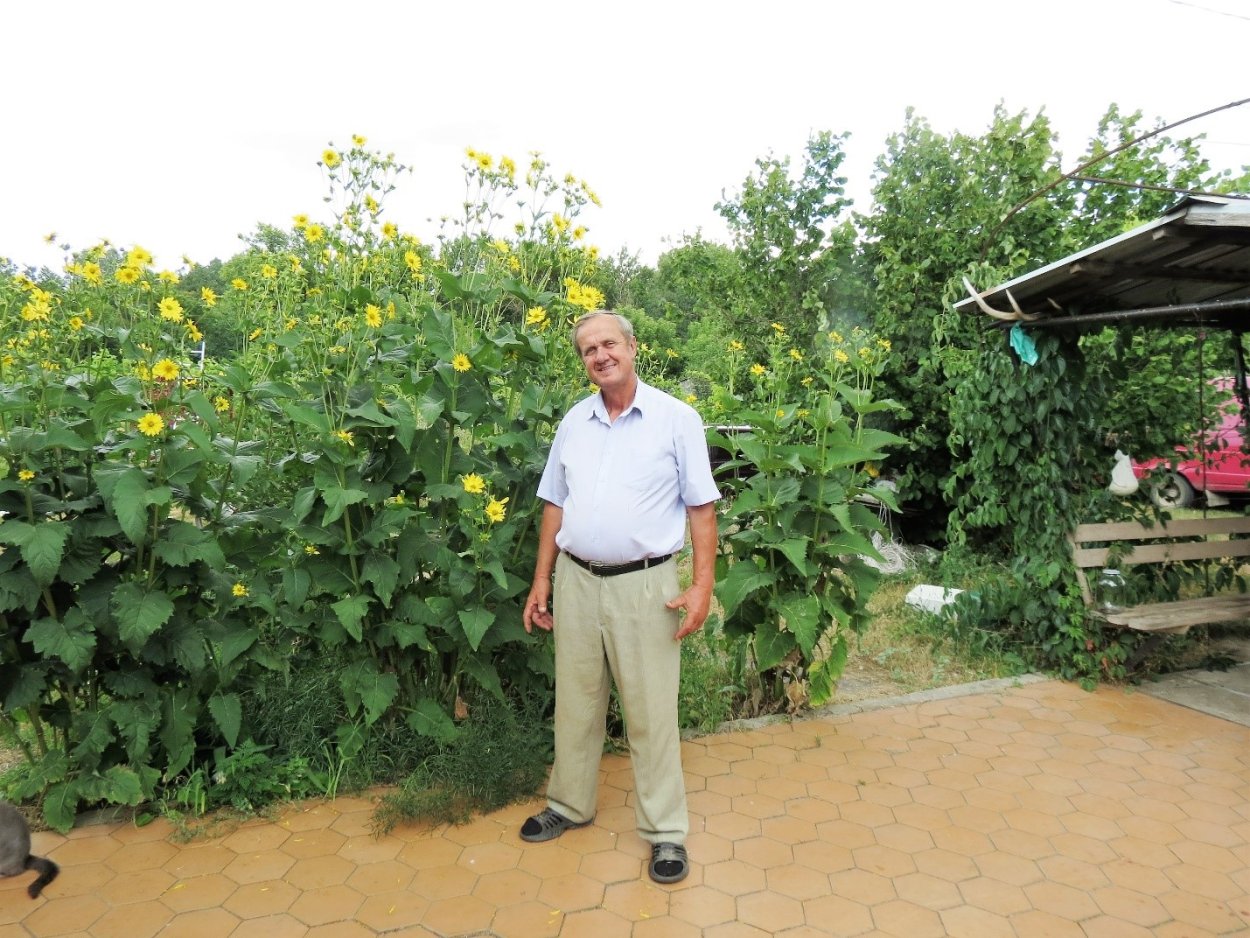 Рокси Грейрат