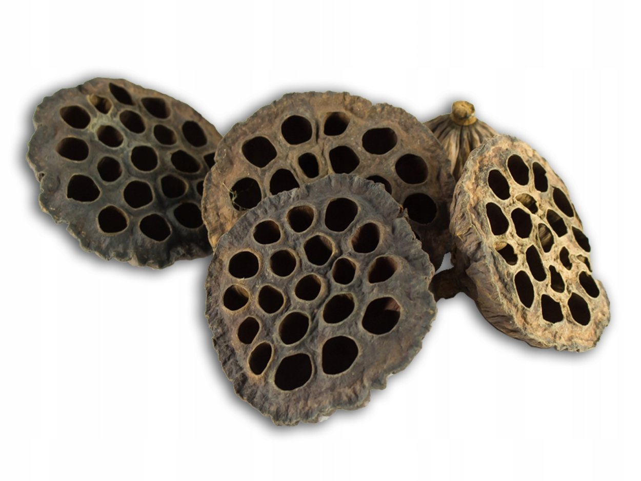 Корзинка лотоса