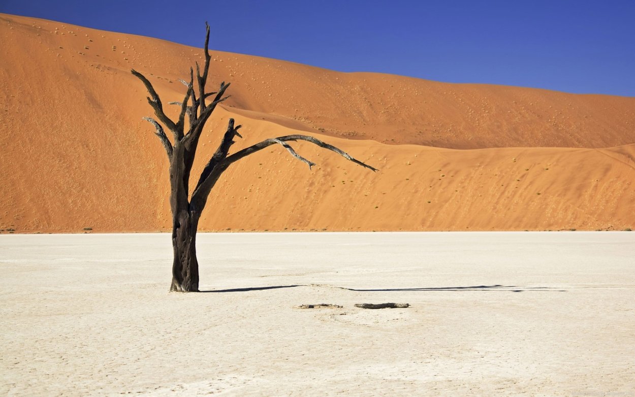 Дерево убегает