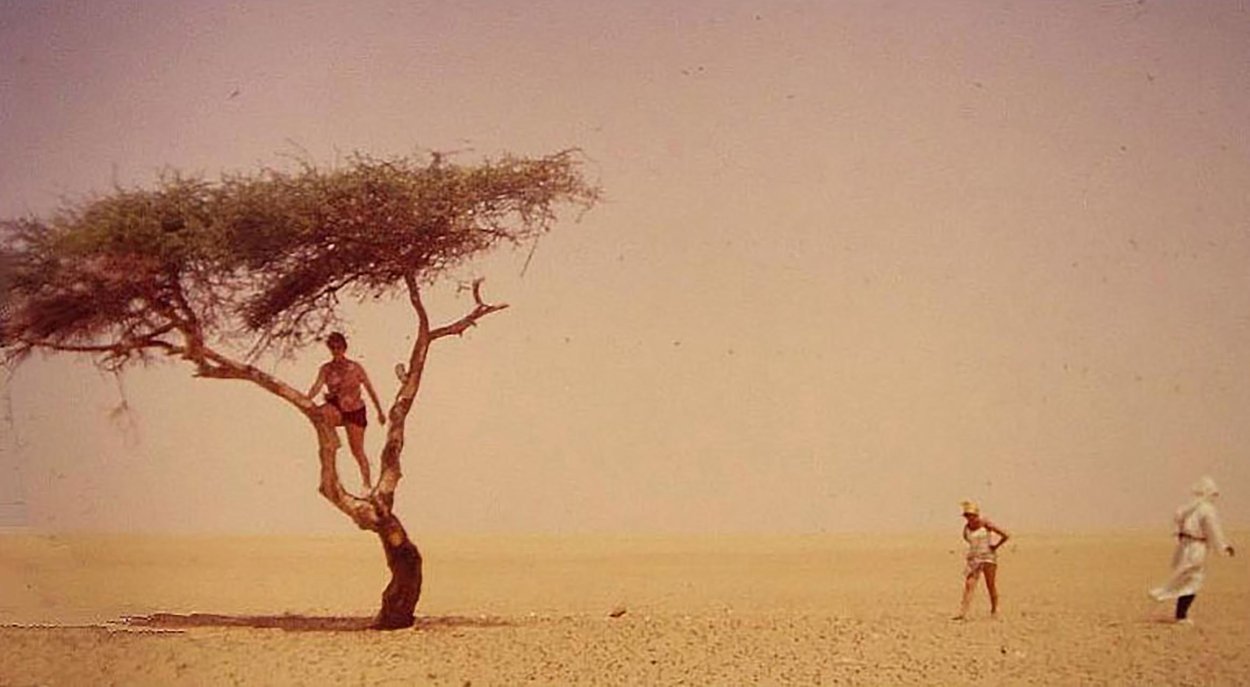 Остров Ява дерево Анчар