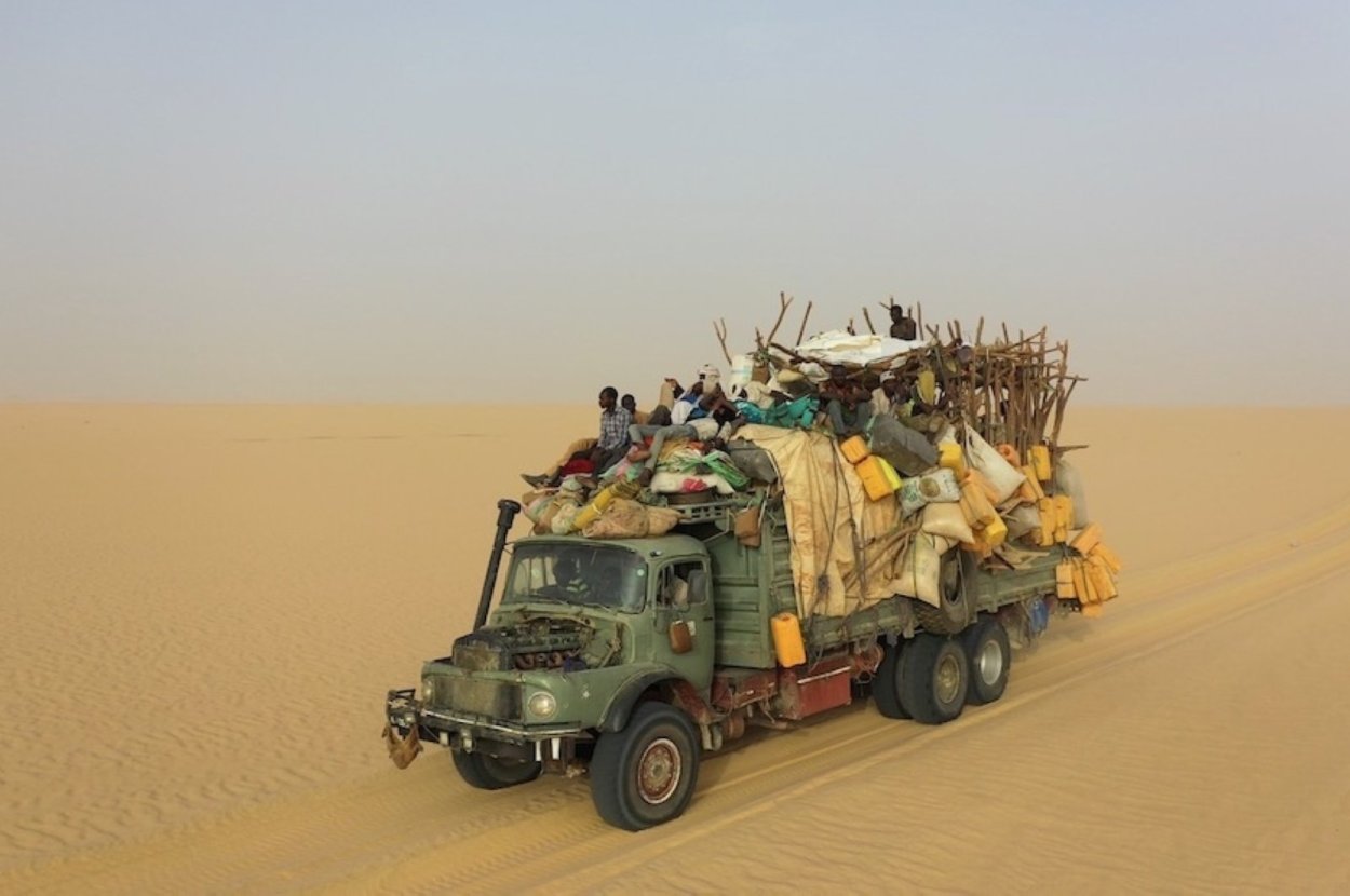 Дерево Тенере нигер