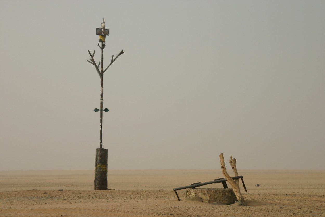 Сухое дерево в пустыне