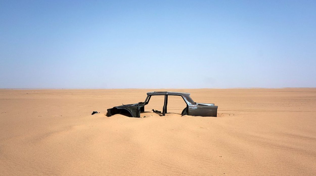 Фауна пустыни Намиб