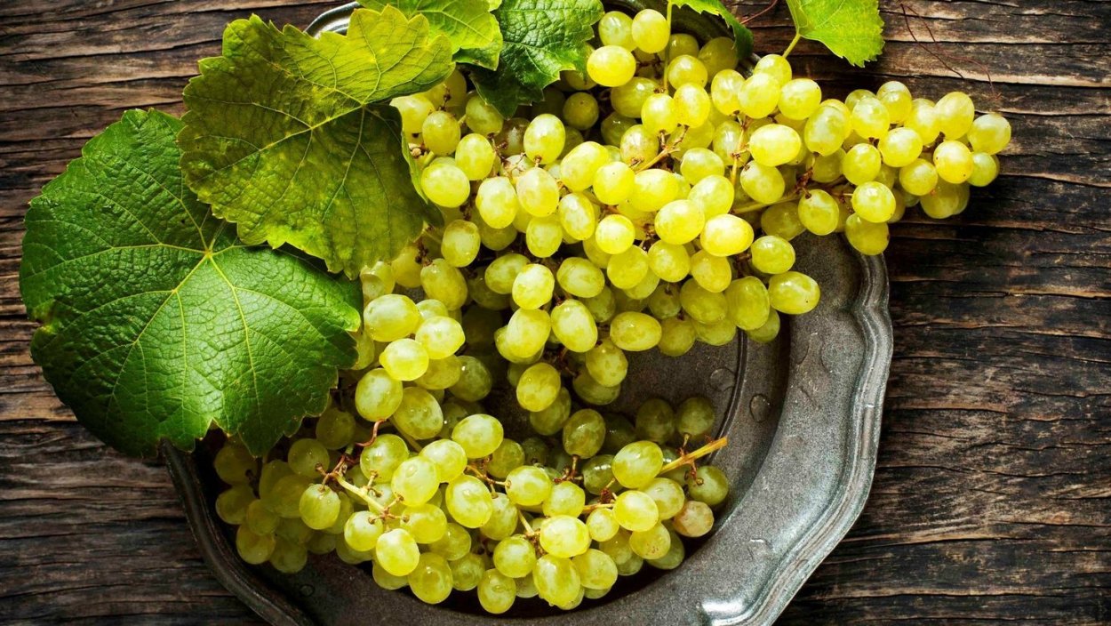 Кубань вино виноградники