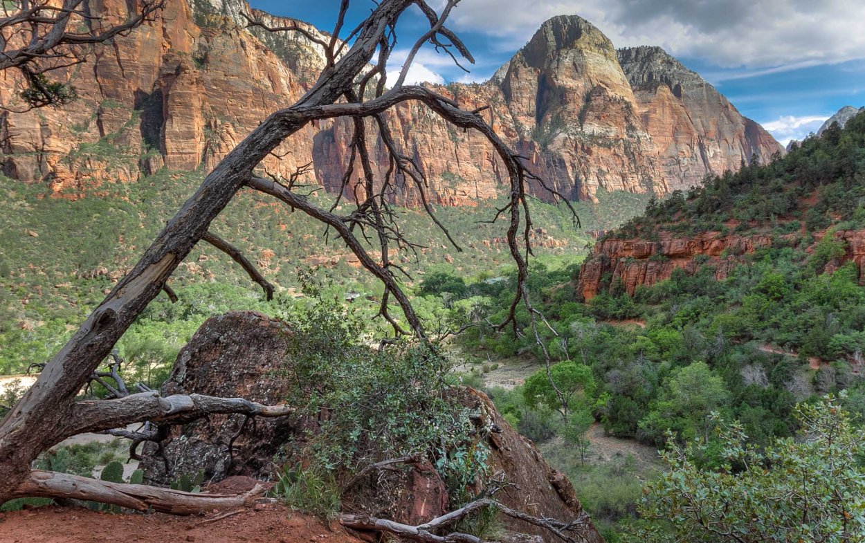 Трафарет скала каньон