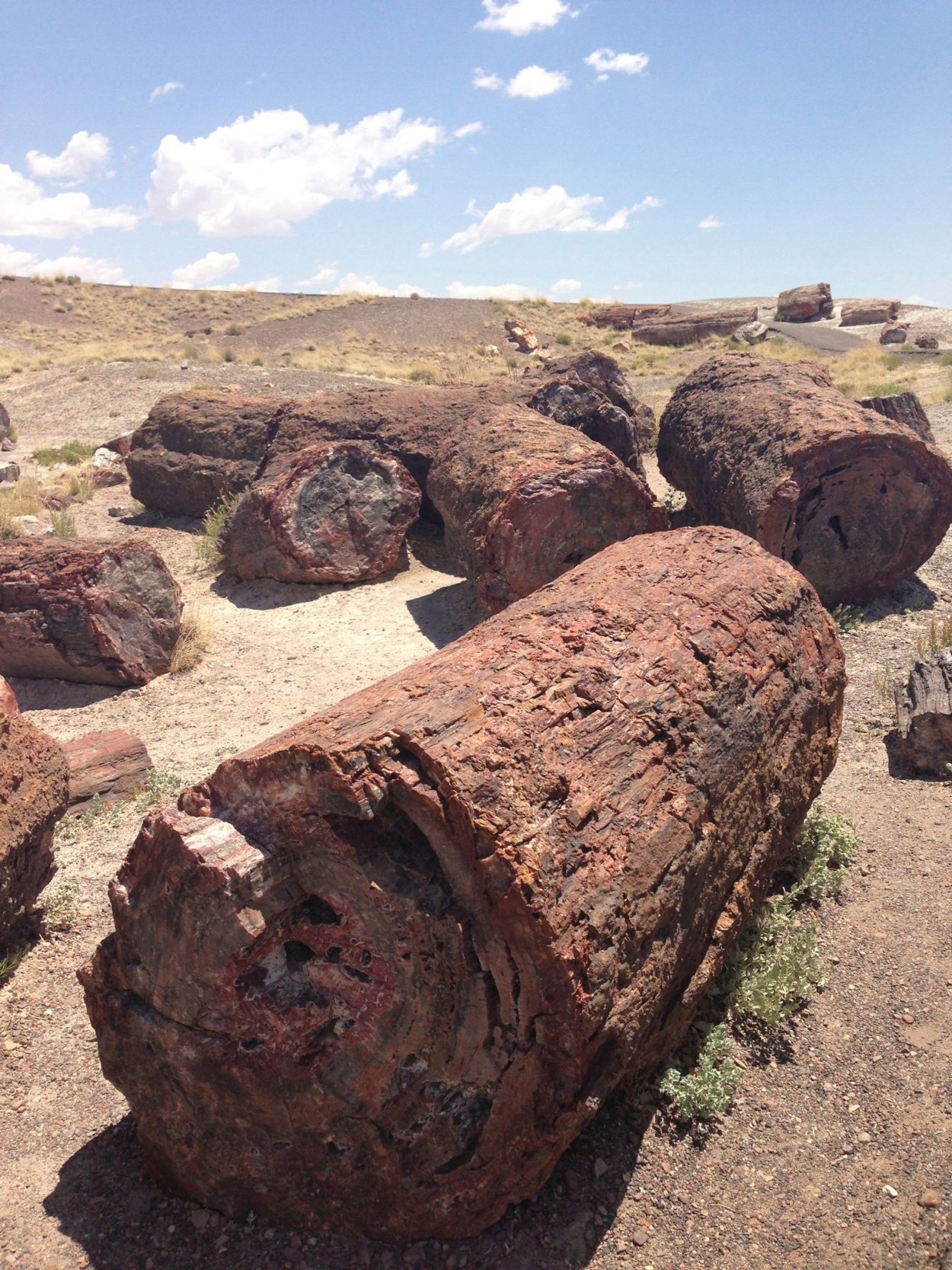 Каньон волны Аризона