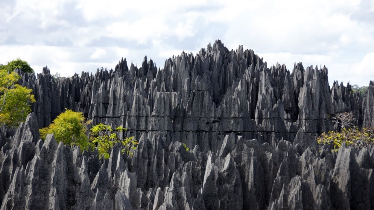 Заповедник Цинжи-дю-Бемараха Мадагаскар