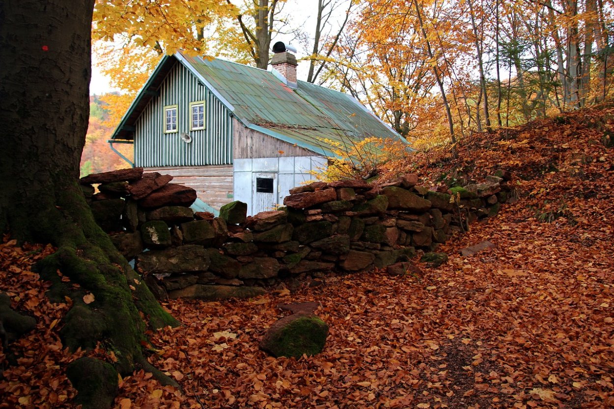 Домик в лесу у озера осенью