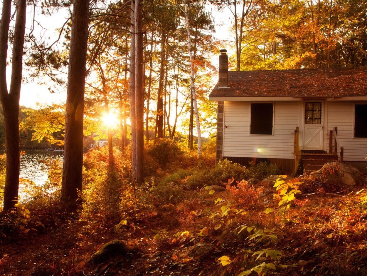 Дом в осеннем лесу