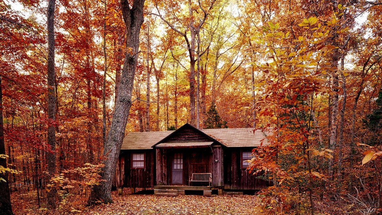 Дом в лесу осень