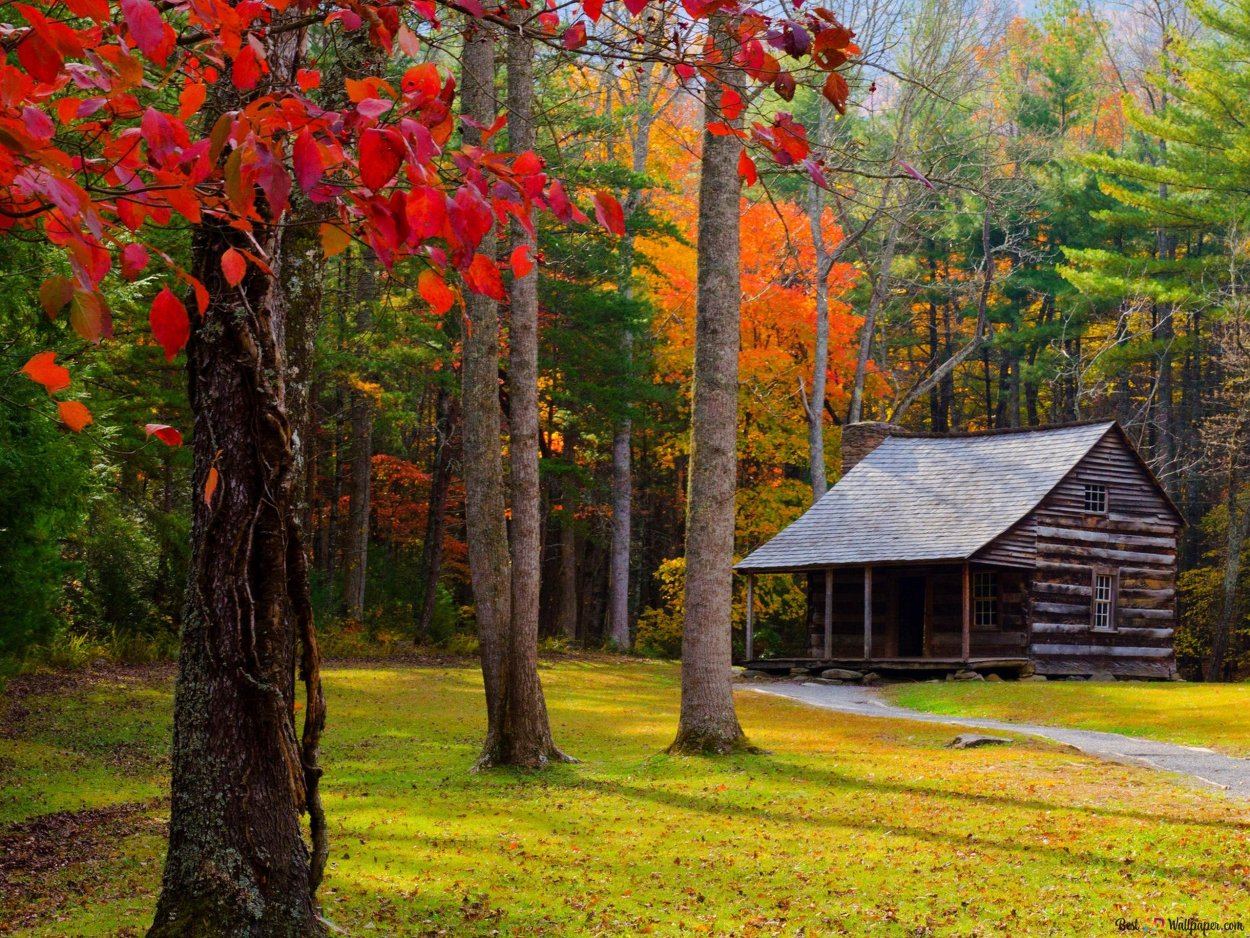 Осень домик