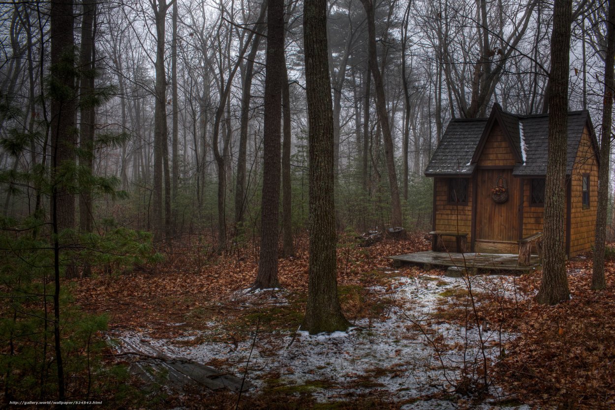 Красивый дом осенью