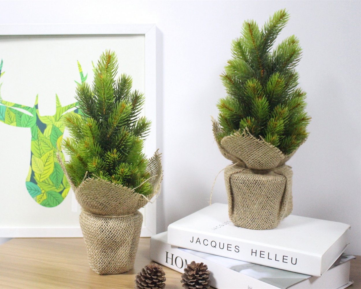 Сосна Норвежская бонсай