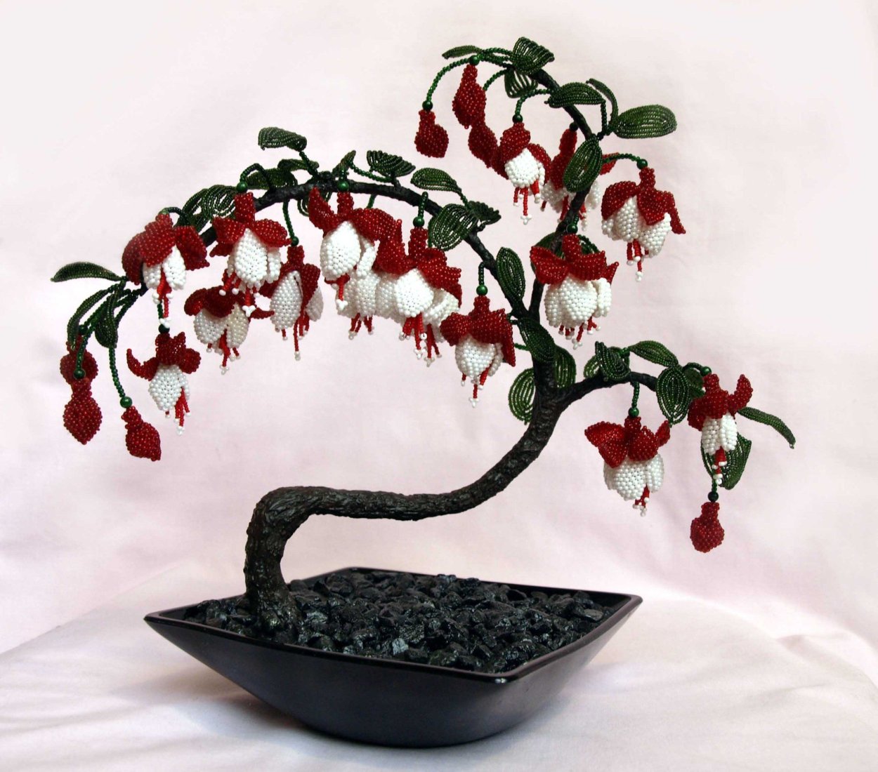 Пираканта Форчуна бонсай