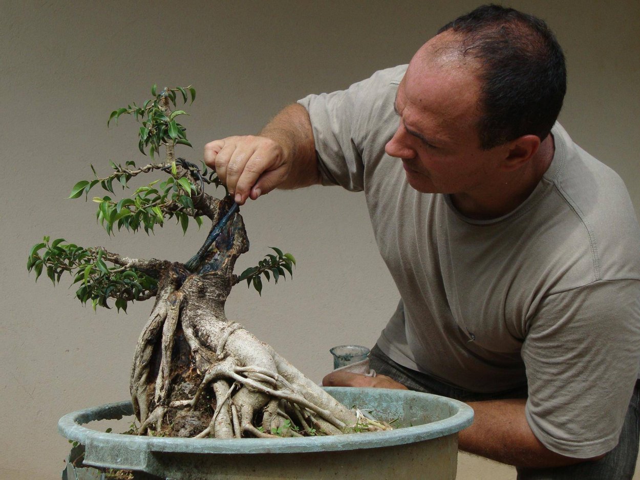 Непристойные растения