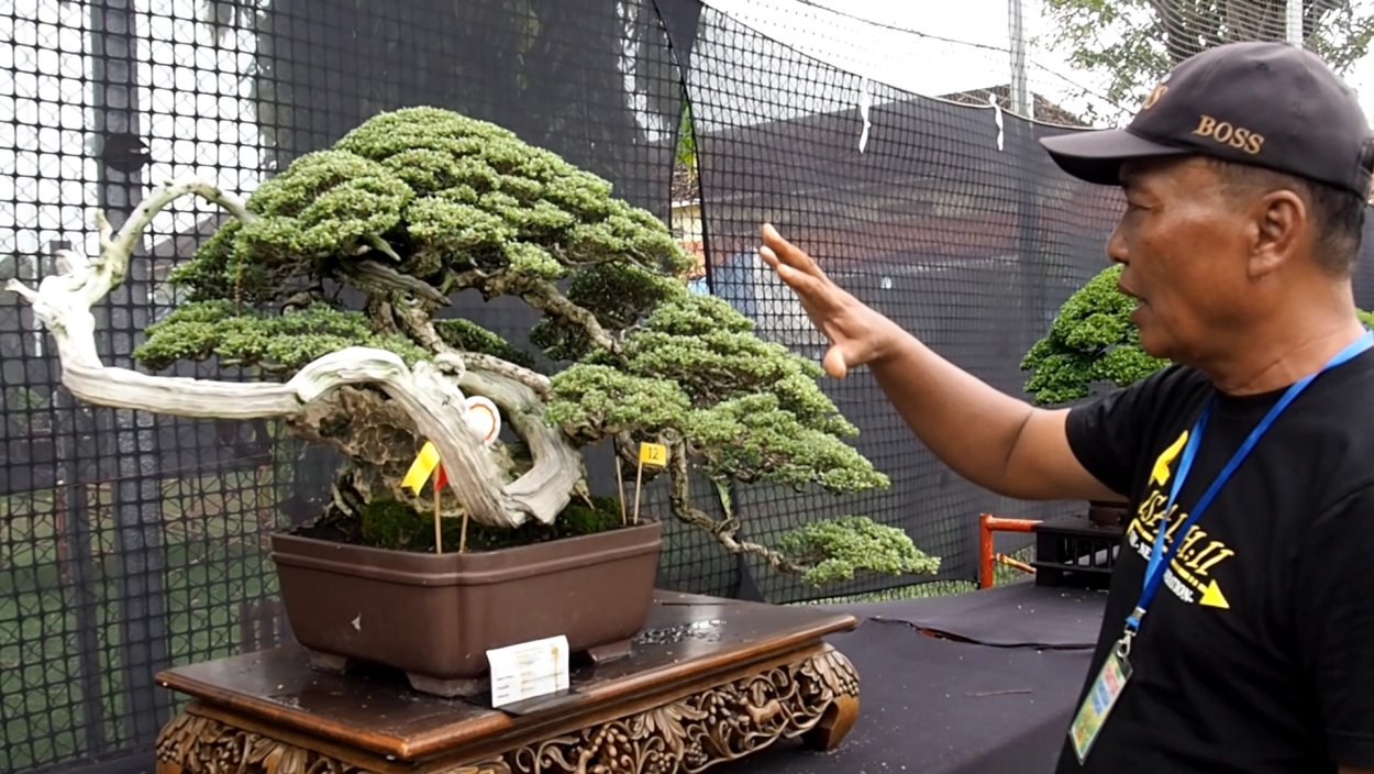 Петер Пеппер