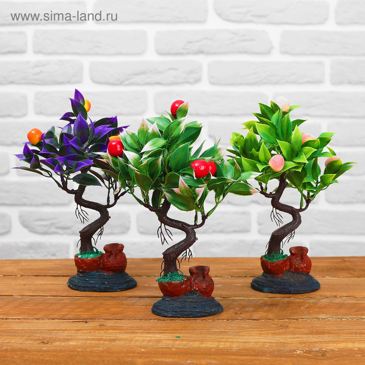 Бонсай перец комнатный