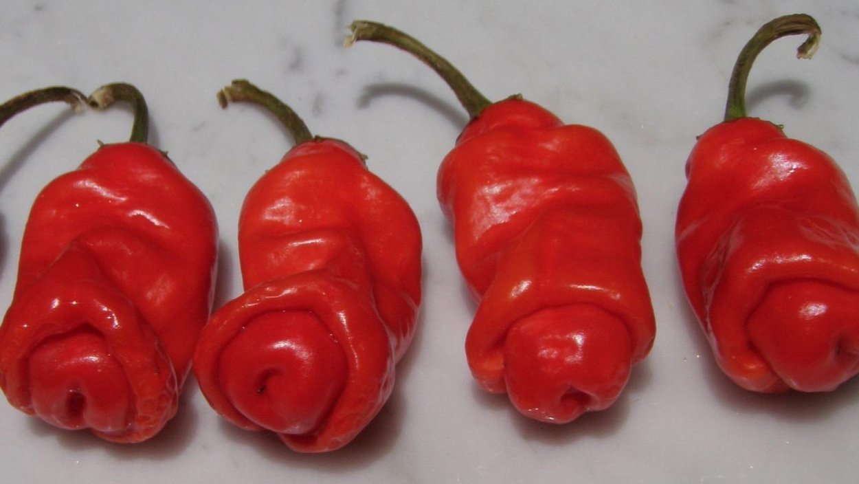 Китайские сорта перца