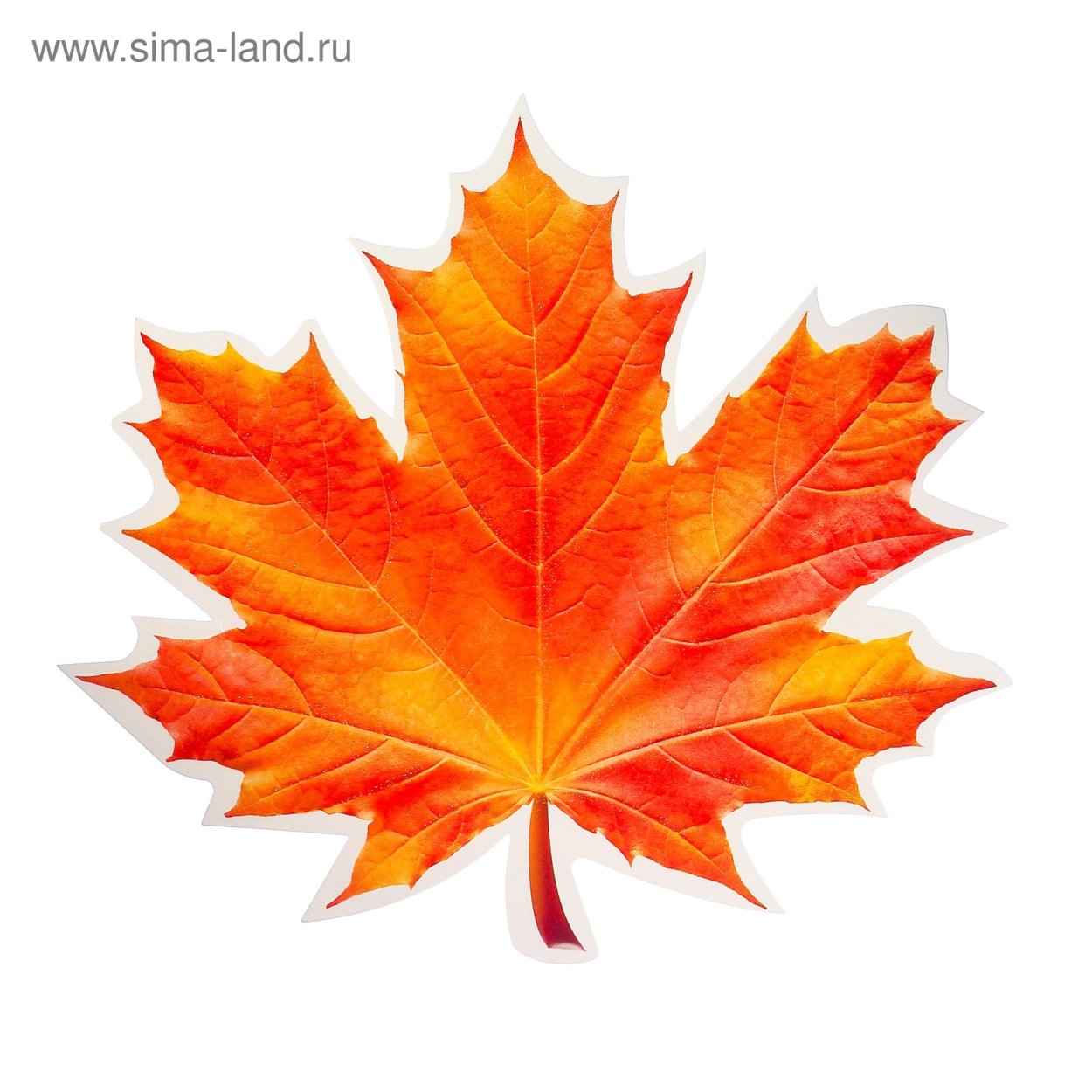 Красивые осенние листочки