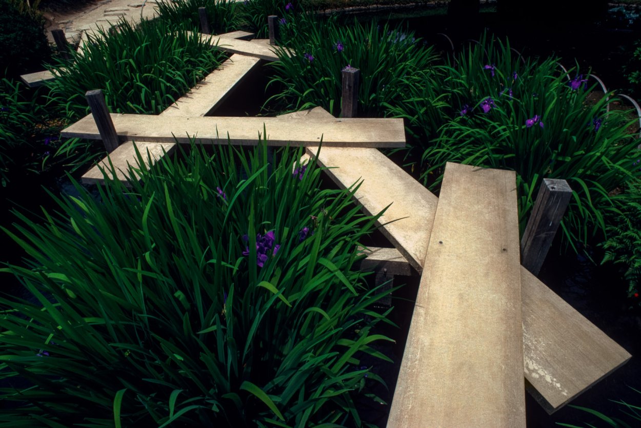 Мост Яцухаси ирисы