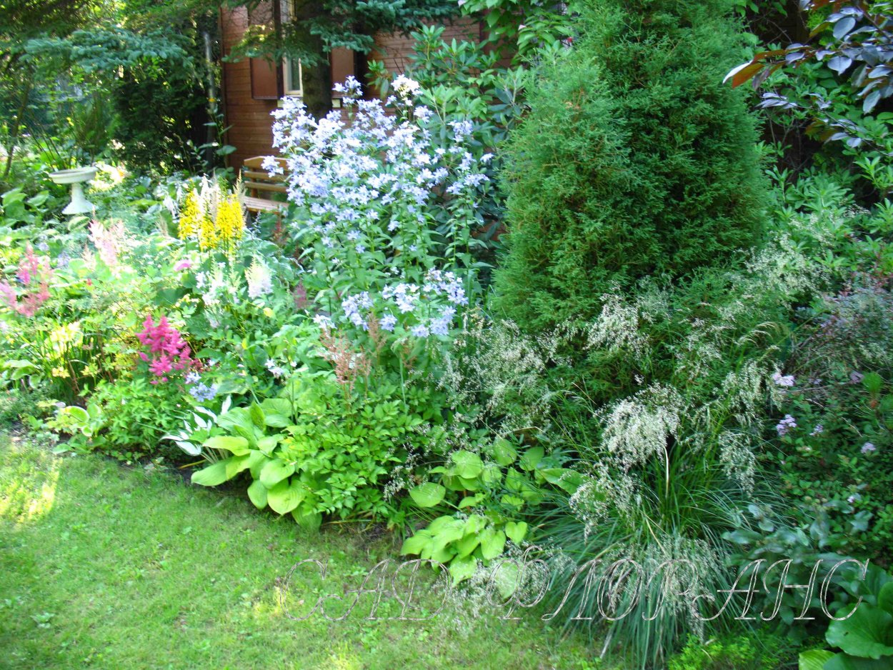 Сад Флоранс Колокольниковых