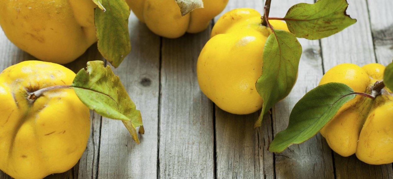 Сады из айвы