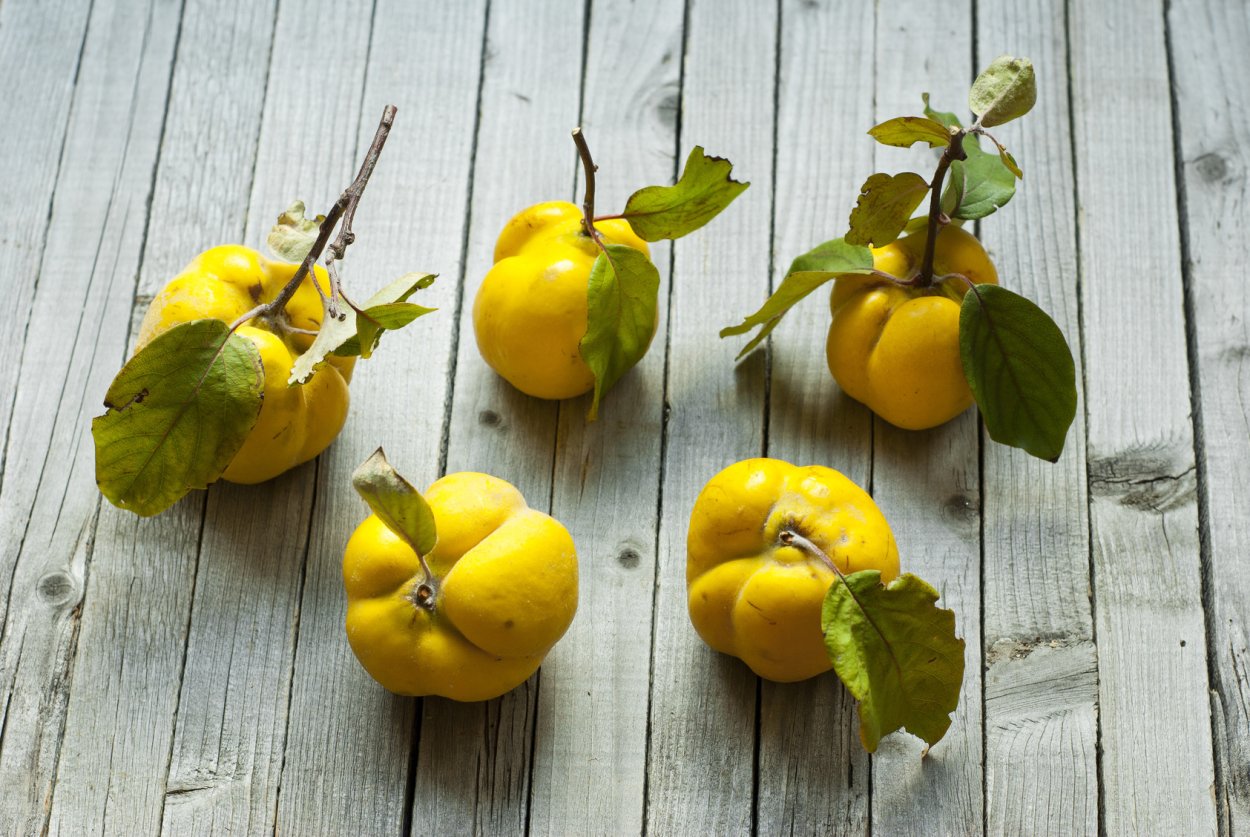 Японская айва варенье