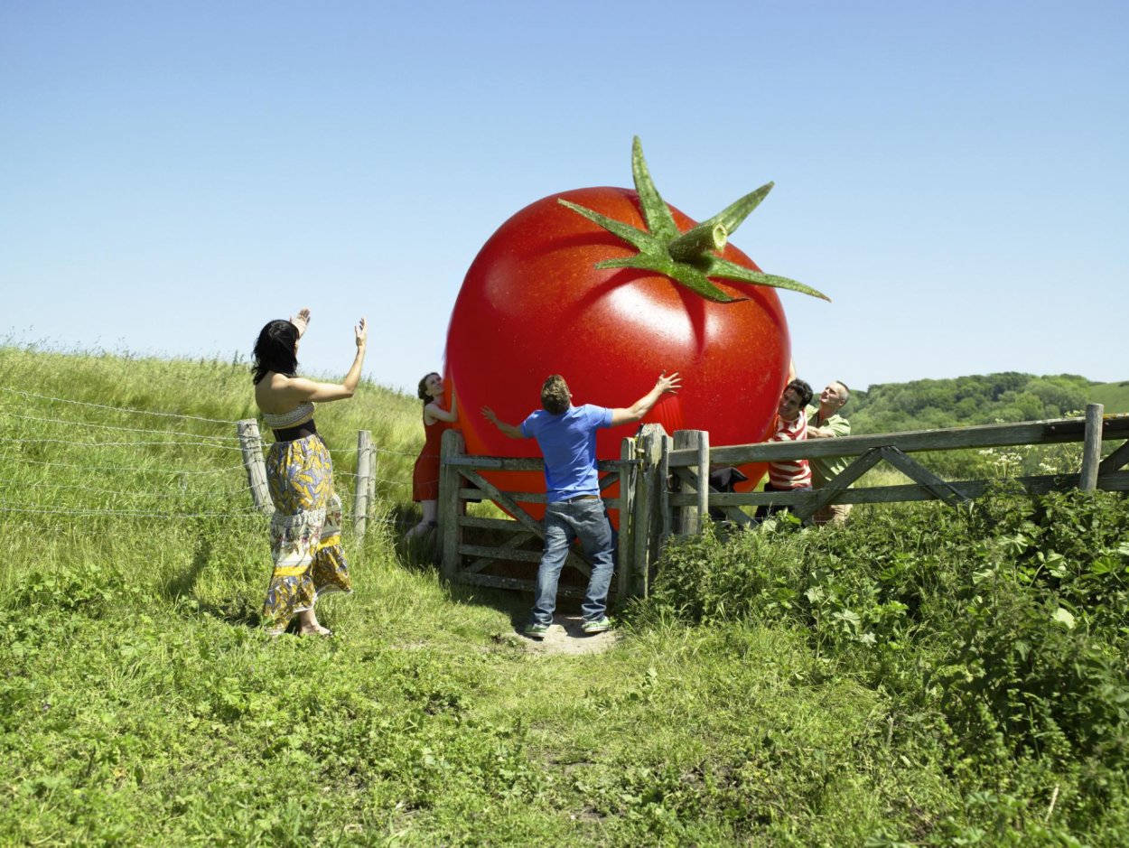 ГМО В сельском хозяйстве