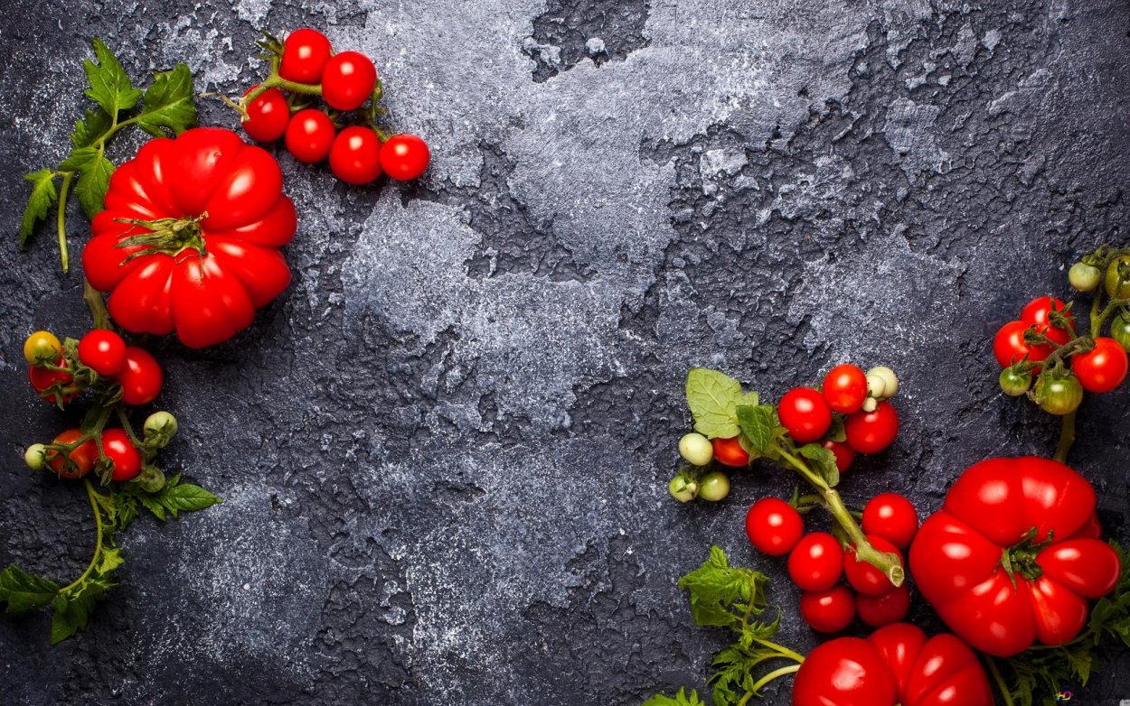 Помидоры на темном фоне вид сверху