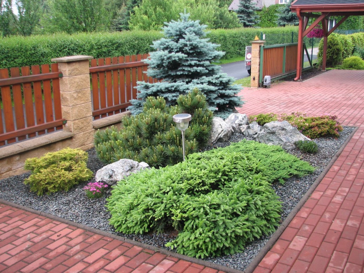 Туя розмарин миксбордер