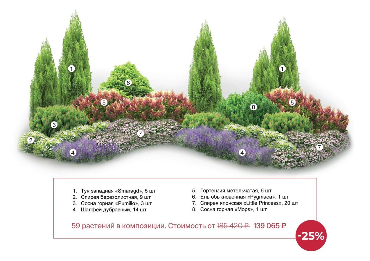 Дзержинский хвойники