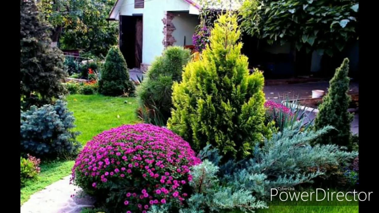 Готовые композиции из хвойников