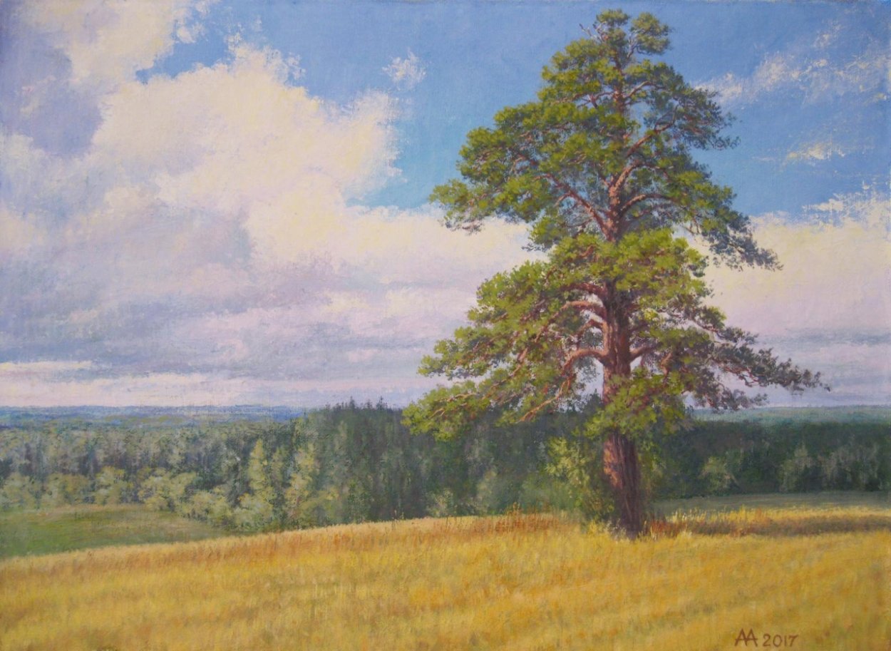 Сосна МЕРКУЗА (Pinus merkusii)