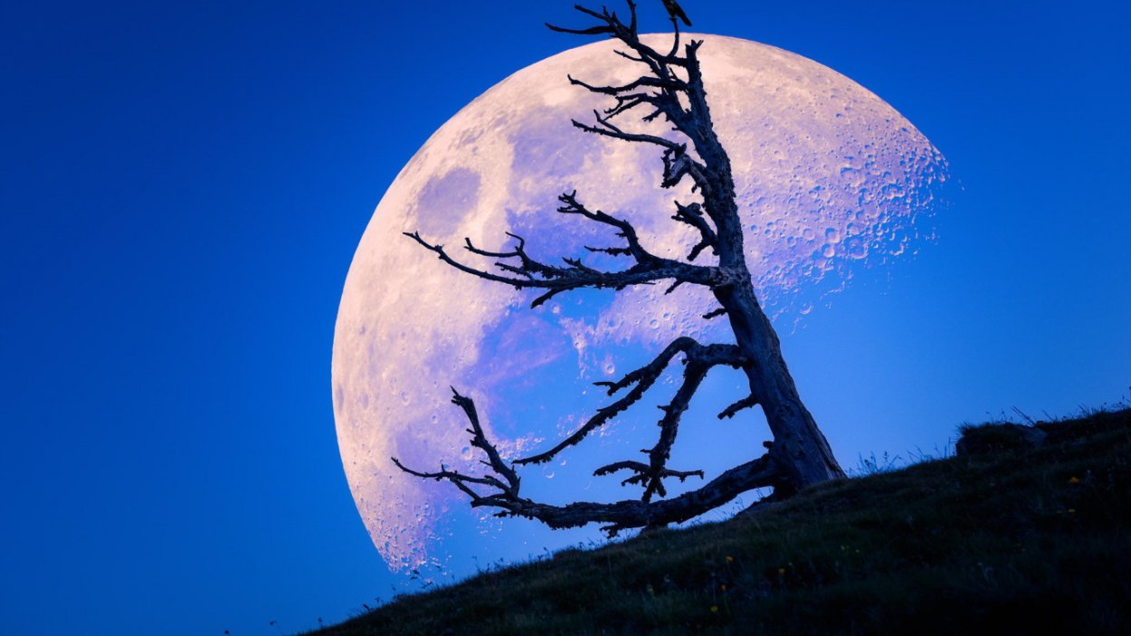 Зловещая ночь