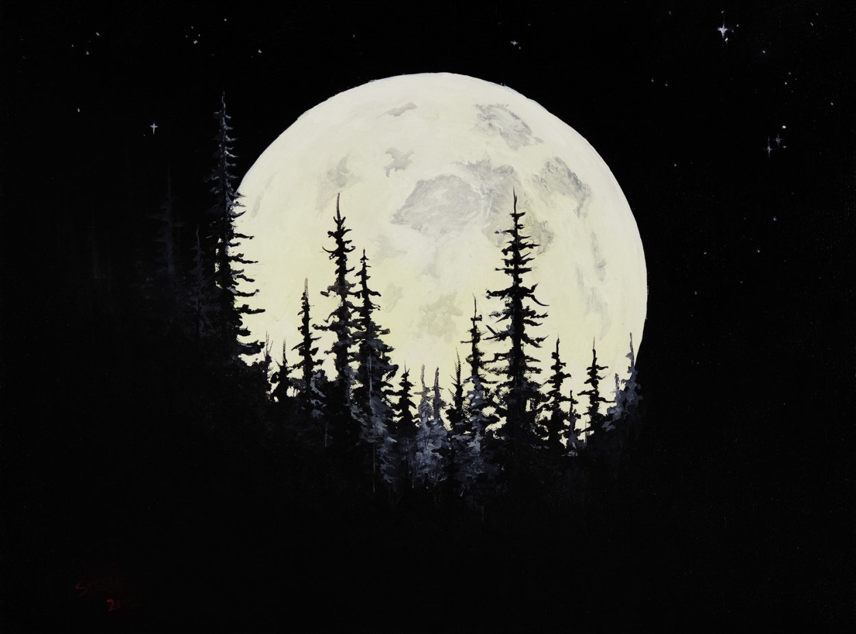 Дерево ночью