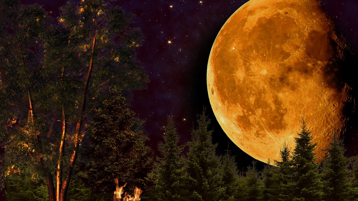 Луна черно белая