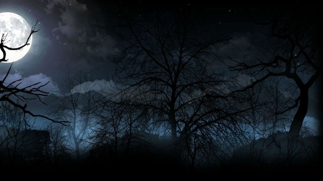 Луна на фоне леса