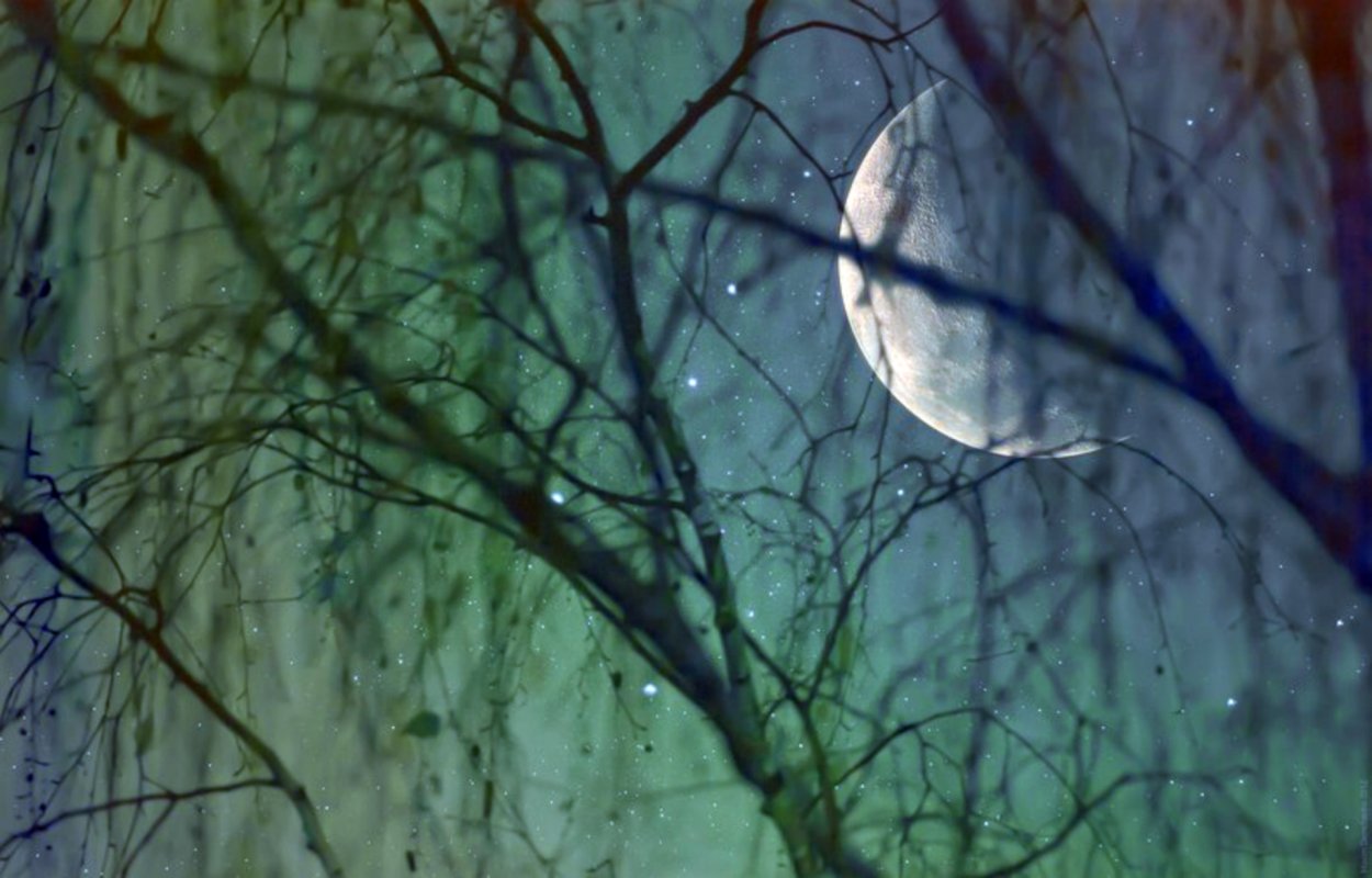 Пейзаж с луной