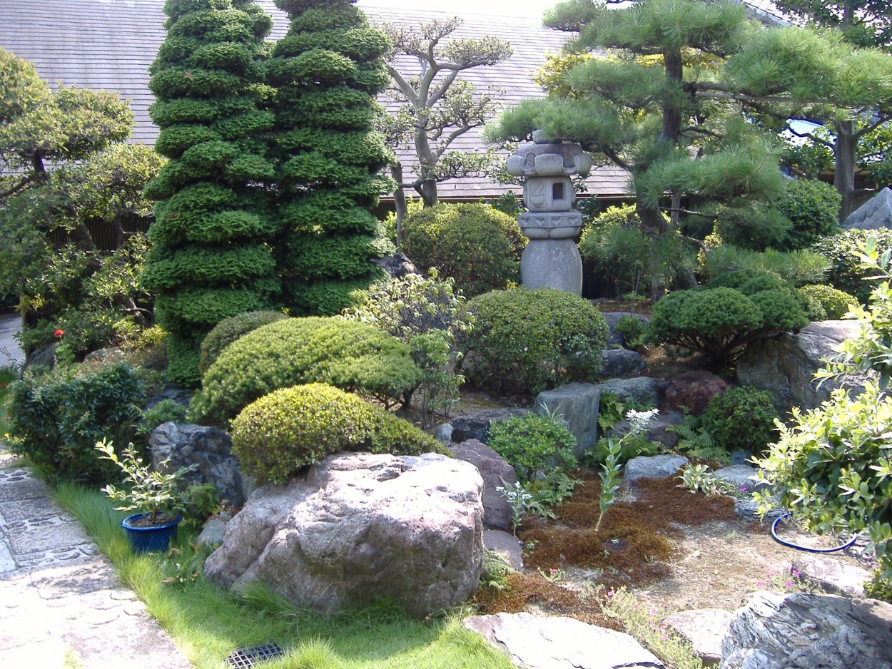 Киото ниваки