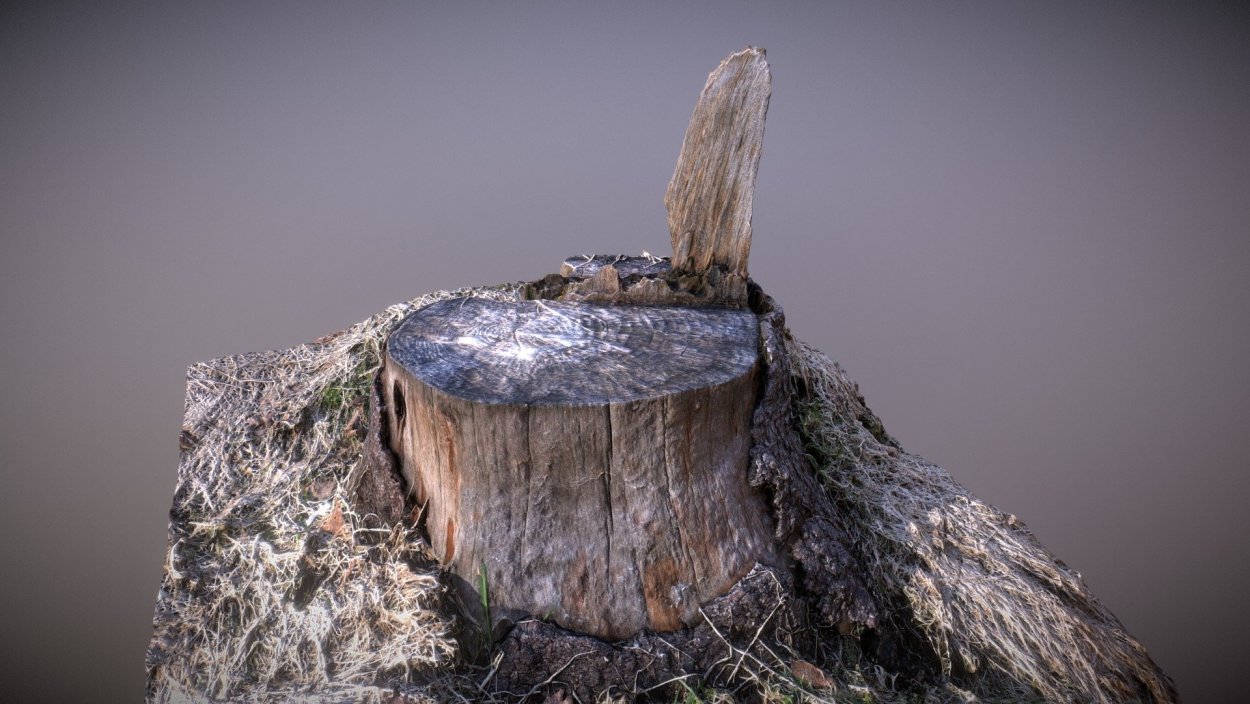 Волшебный пень