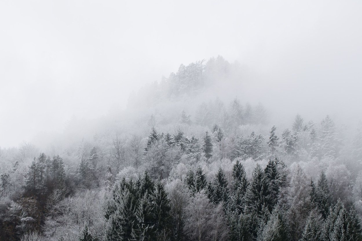 Серая зима Эстетика