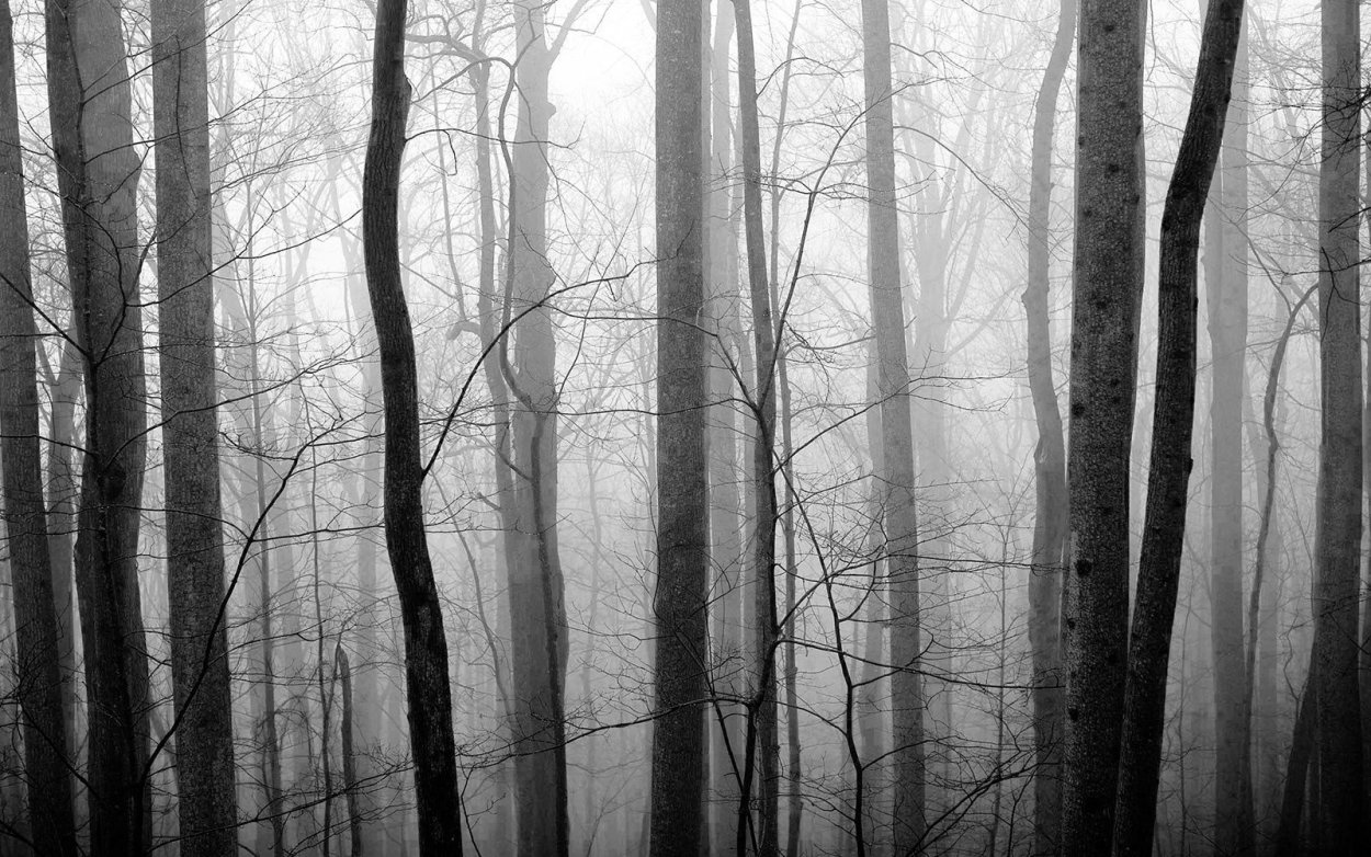 Деревья тлен