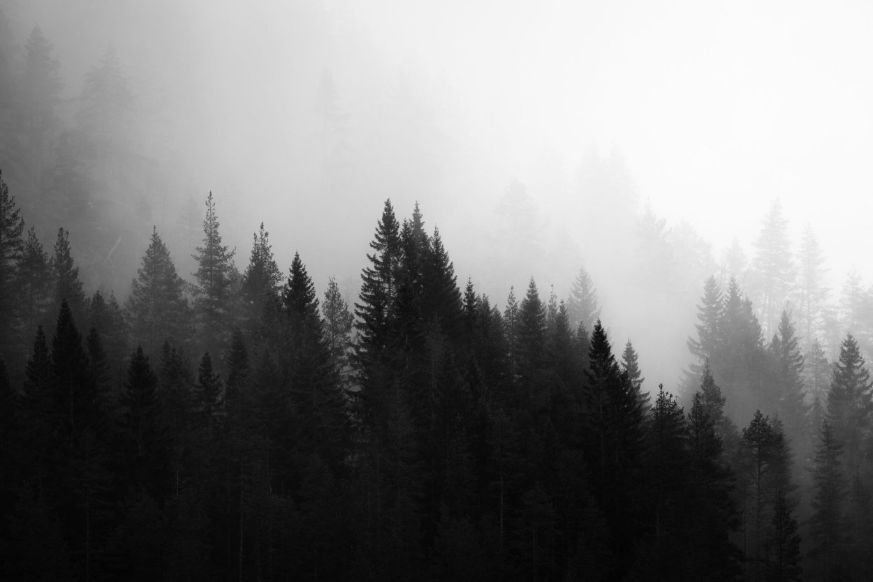 Эстетика черного