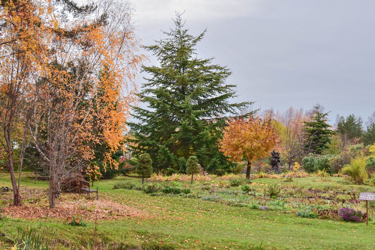 Ботанический сад ПЕТРГУ