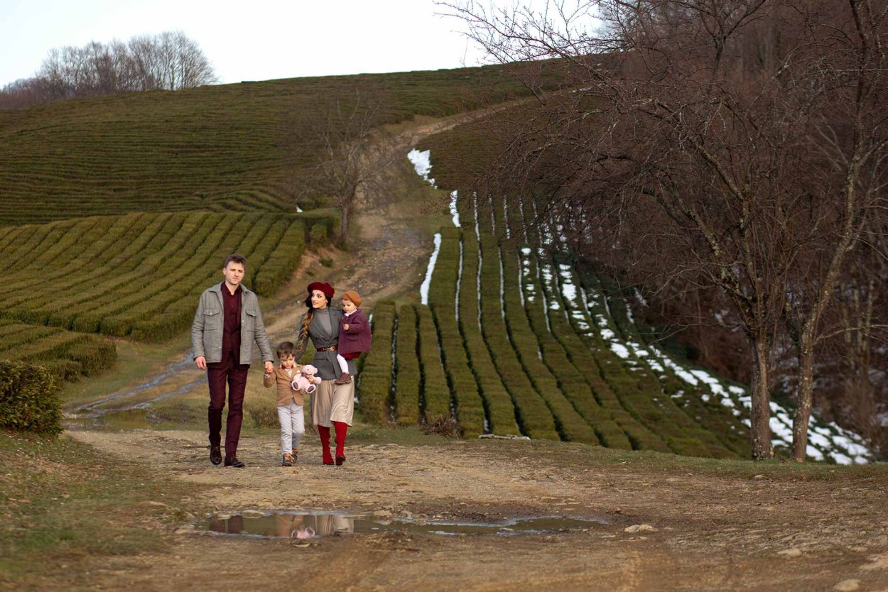 Чайные плантации Сочи Мацеста