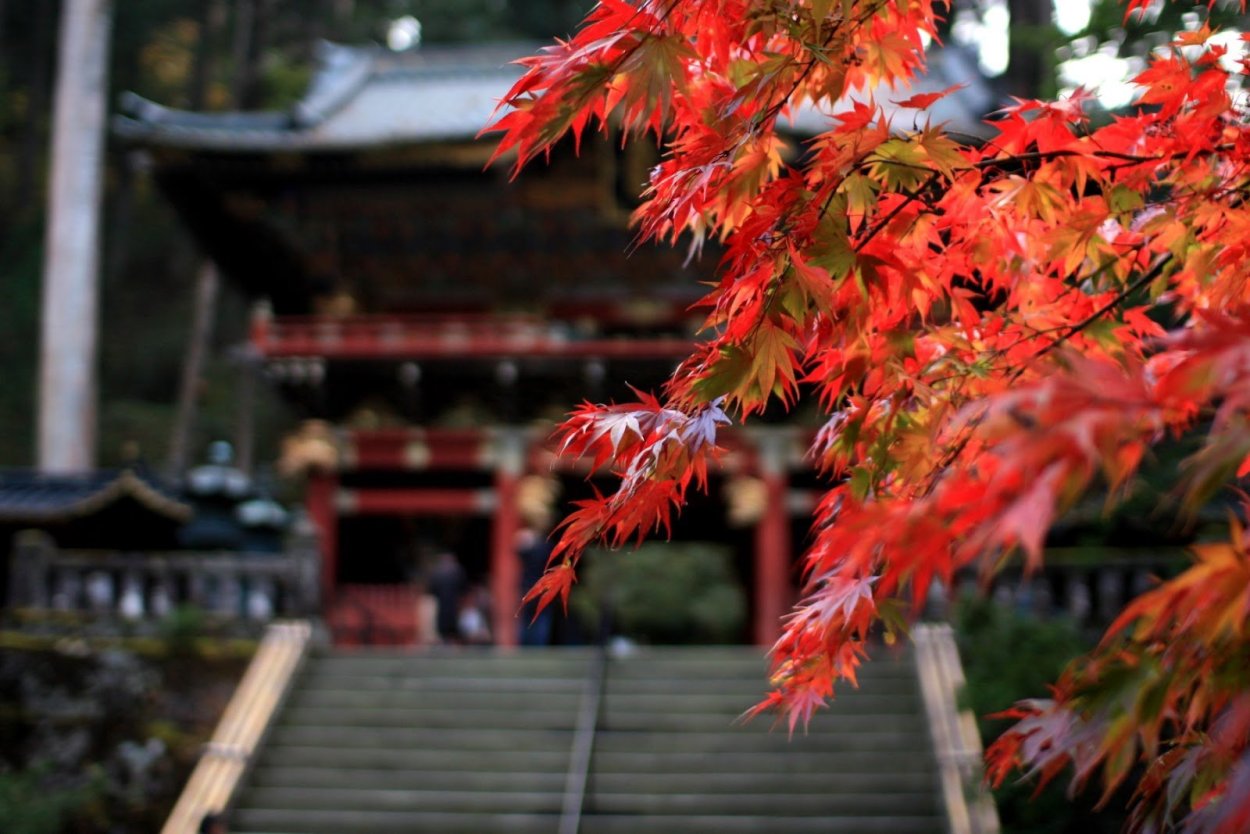 Фон для экспозиции