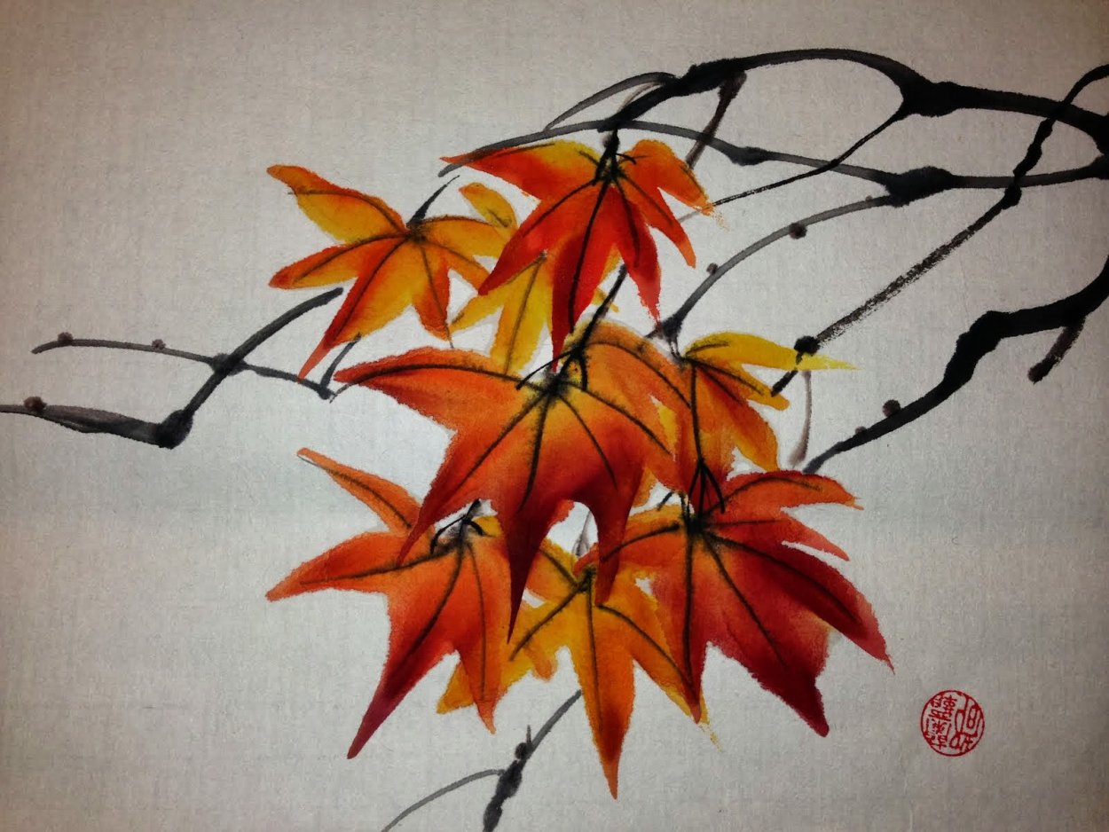 Клен Момидзи