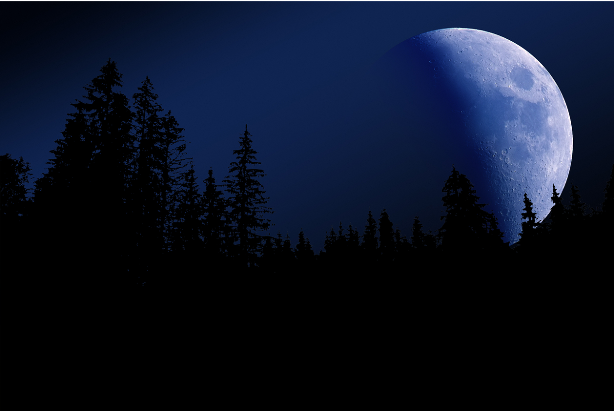 Луна над лесом
